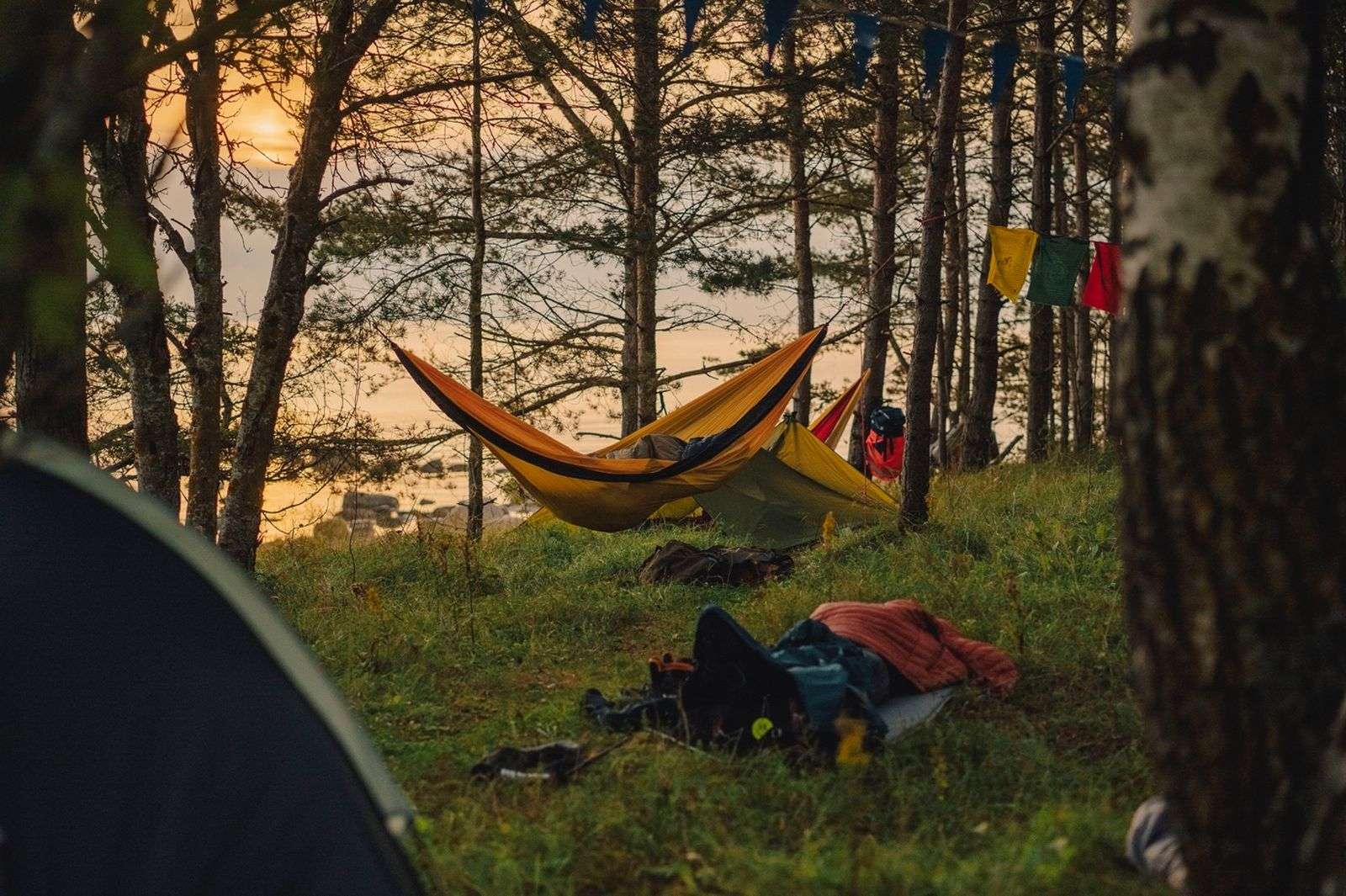 Zemē un šūpuļtīklos guļoši cilvēki piekrastes mežā